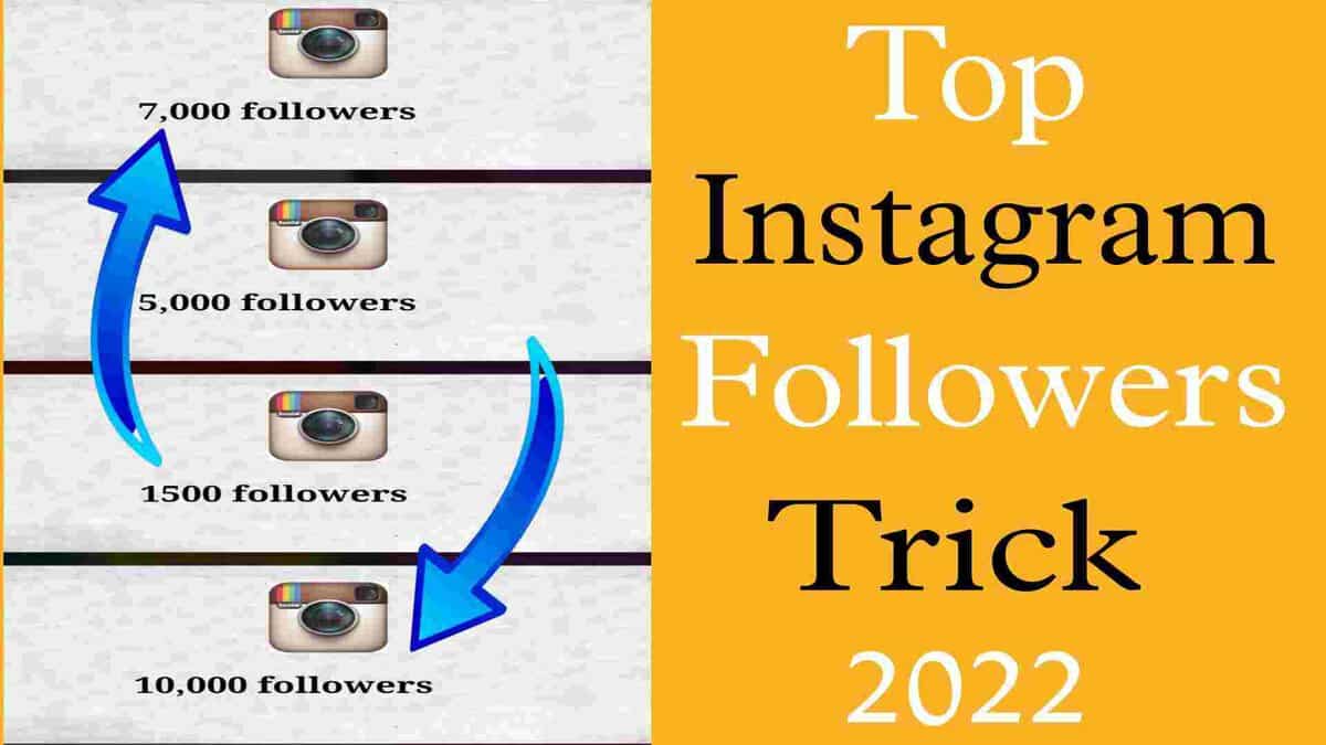 social pave Website- Increase Followers On Instagram