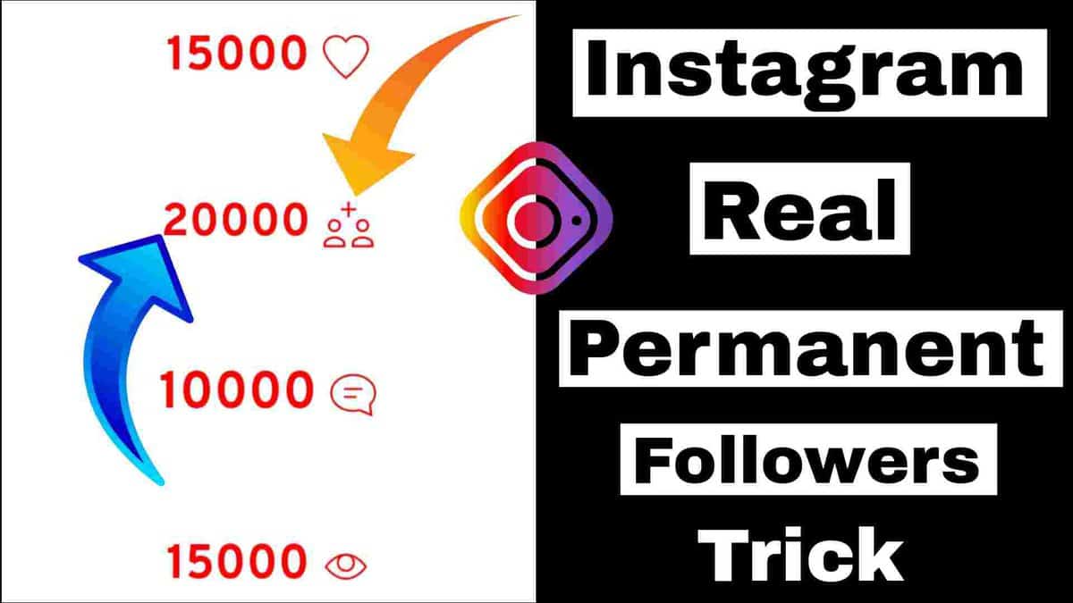 mavi takipci- How To Get Followers On Instagram